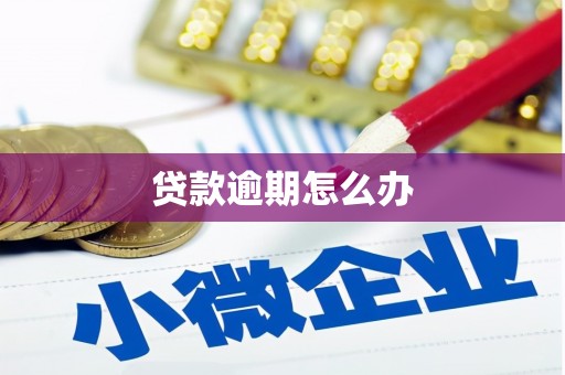 平桂贷款逾期怎么办