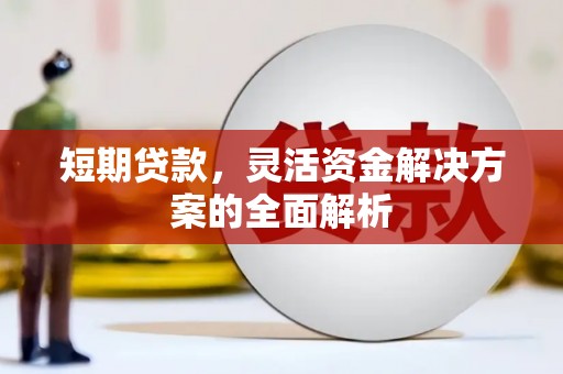 平桂短期贷款，灵活资金解决方案的全面解析