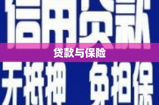 平桂贷款与保险