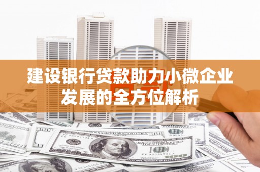 平桂建设银行贷款助力小微企业发展的全方位解析