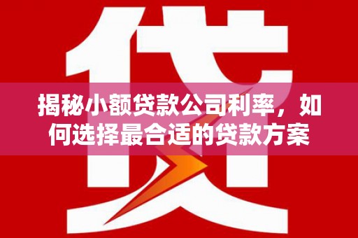 平桂揭秘小额贷款公司利率，如何选择最合适的贷款方案