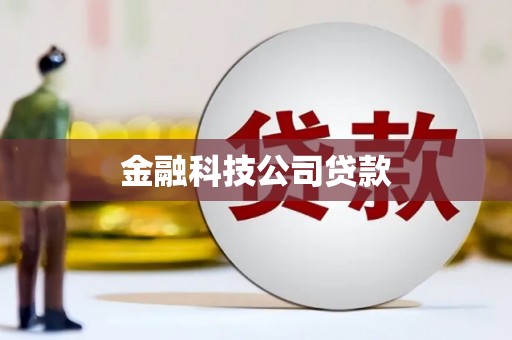 平桂金融科技公司贷款
