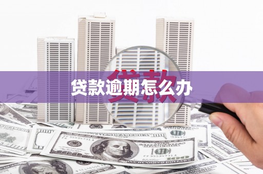 平桂贷款逾期怎么办