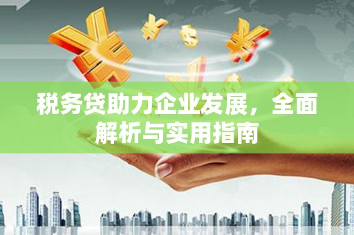 平桂税务贷助力企业发展，全面解析与实用指南