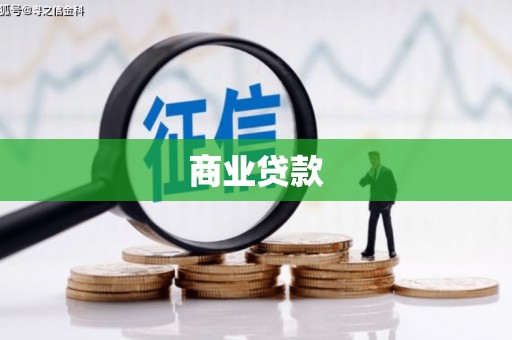 平桂商业贷款