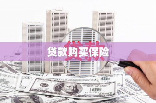 平桂贷款购买保险