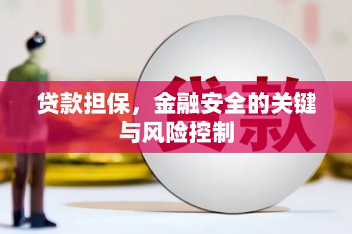 平桂贷款担保，金融安全的关键与风险控制