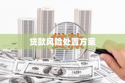 平桂贷款风险处置方案